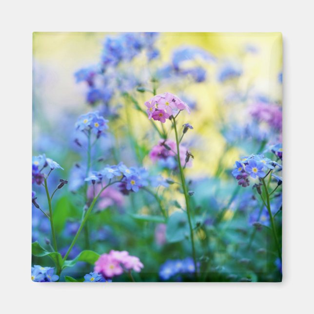 Imán Flores nomeolvides (Frente)