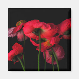 Imán Flores Paquetes rojos