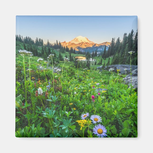 Imán Flores | Parque nacional Monte Rainier (Frente)