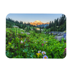 Imán Flores   Parque nacional Monte Rainier