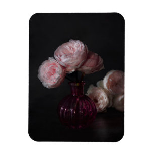 Imán Flores Peonías rosadas pálidas en grano