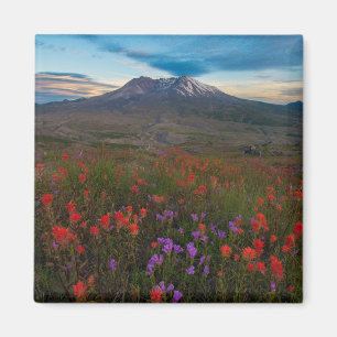 Imán Flores   Pincel indio y penstemon