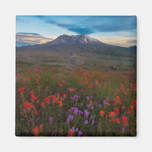 Imán Flores | Pincel indio y penstemon (Frente)