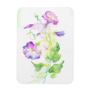 Imán Flores pintadas de la enredadera de la acuarela