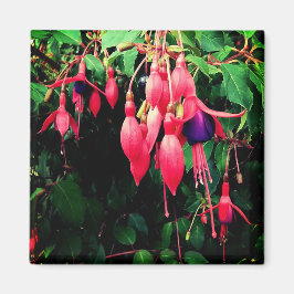 Imán Flores rojas y violetas