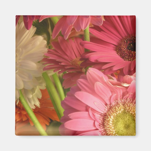 Imán Flores rosadas (Frente)