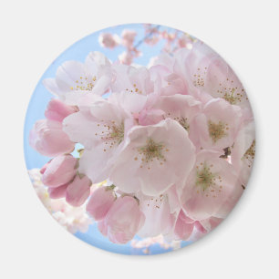Imán Flores rosadas cielo azul. 