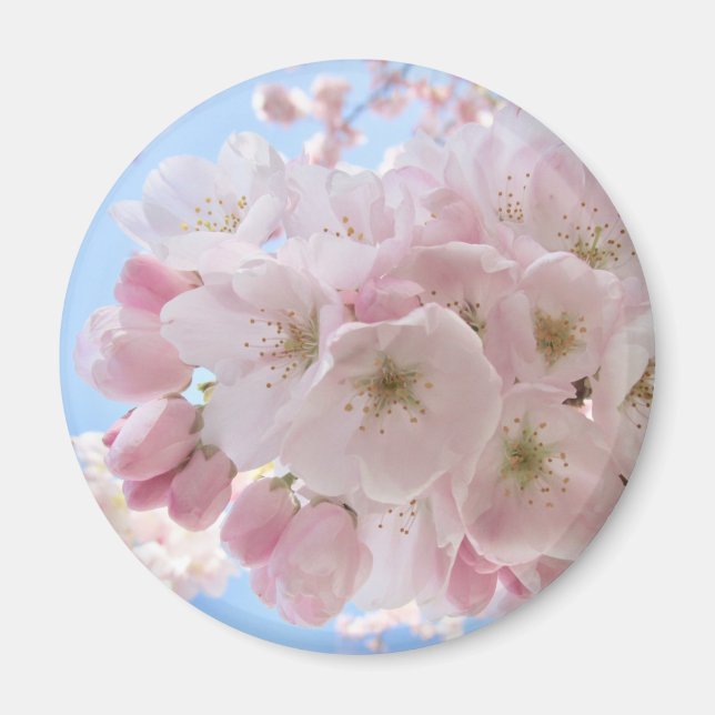 Imán Flores rosadas cielo azul.  (Frente)