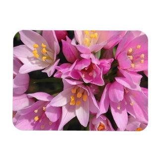 Imán Flores rosadas y amarillas tropicales