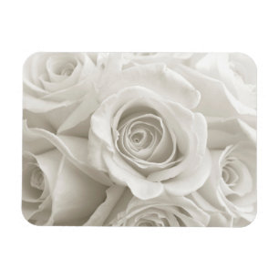 Imán Flores Rosas blancas