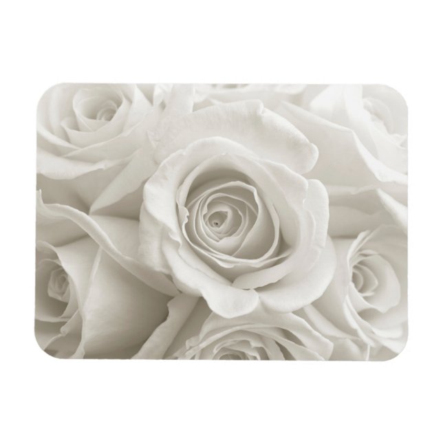 Imán Flores | Rosas blancas (Horizontal)