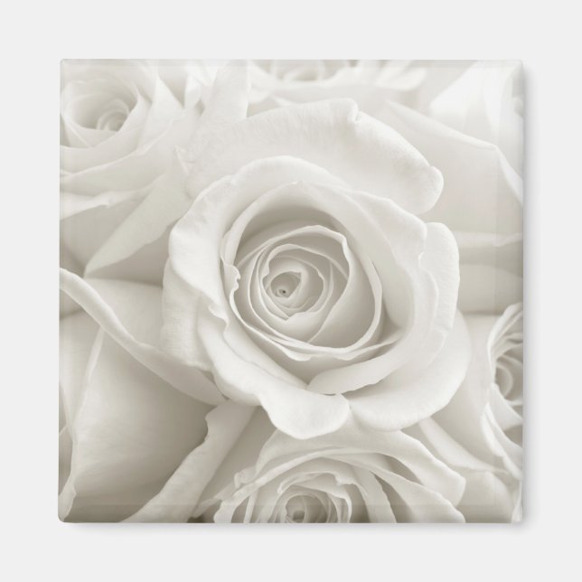Imán Flores | Rosas blancas (Frente)