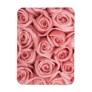 Imán Flores   Roses rosados