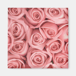 Imán Flores   Roses rosados