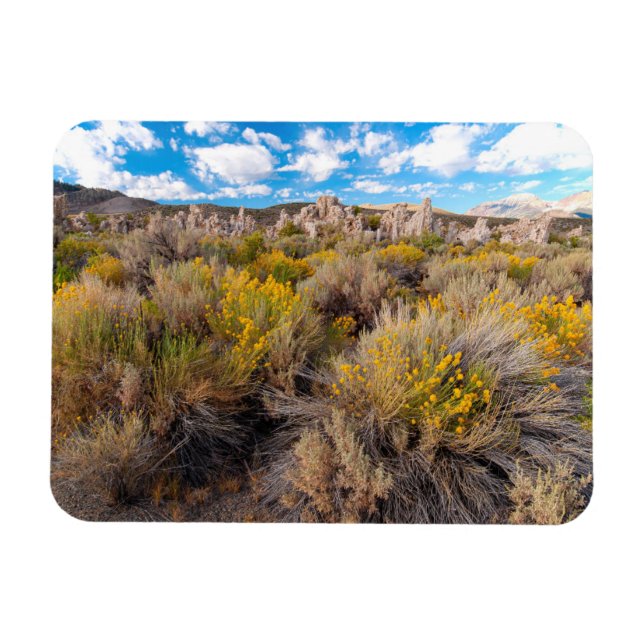 Imán Flores | Sagebrush California en flor (Horizontal)