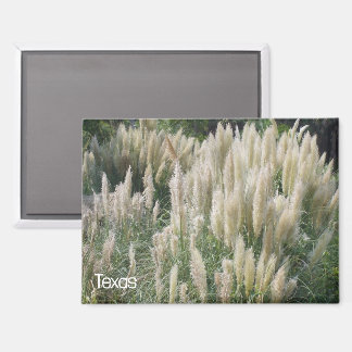 Imán Flores salvajes de Texas