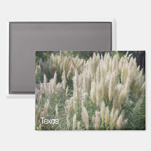 Imán Flores salvajes de Texas (Anverso/Reverso)