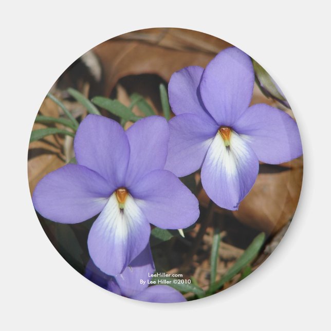 Imán Flores salvajes Regalos y ropa Violeta III de pie  (Frente)