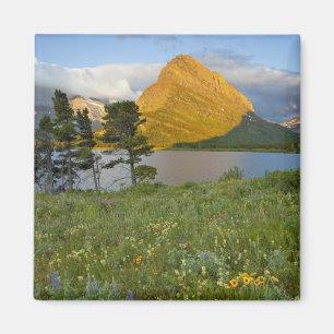 Imán Flores silvestres a lo largo del lago Swiftcurrent