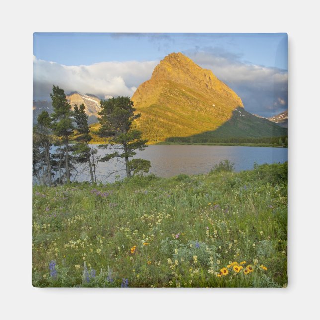 Imán Flores silvestres a lo largo del lago Swiftcurrent (Frente)