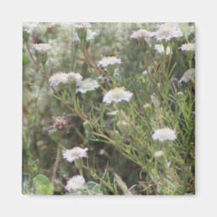 Imán Flores Silvestres Almohadilla Blanca Aquarela Digi