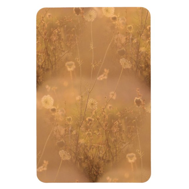 Imán Flores silvestres con brillo Naranja (Vertical)