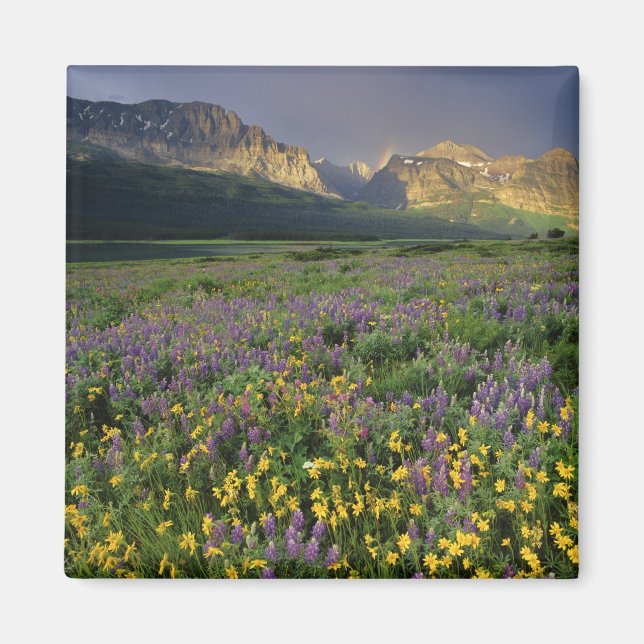 Imán Flores silvestres de Prairie llenan la pradera cer (Frente)