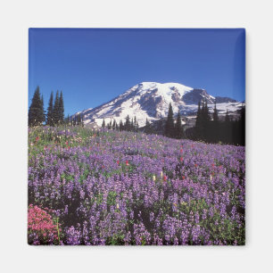 Imán flores silvestres de verano en la base del Monte R