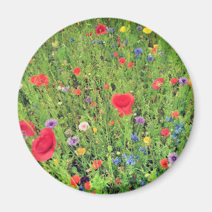 Imán Flores Silvestres Fuente Primavera 5.7 Cm Redondo 