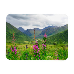 Imán Flores silvestres Valle de Alaska