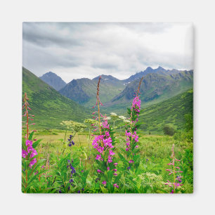 Imán Flores silvestres Valle de Alaska