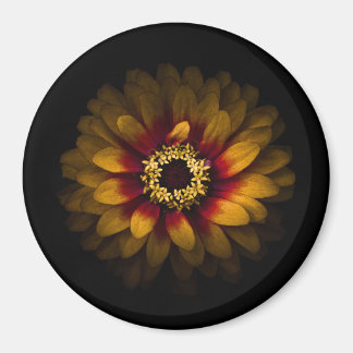 Imán Flores traseras n° 69, versión en color