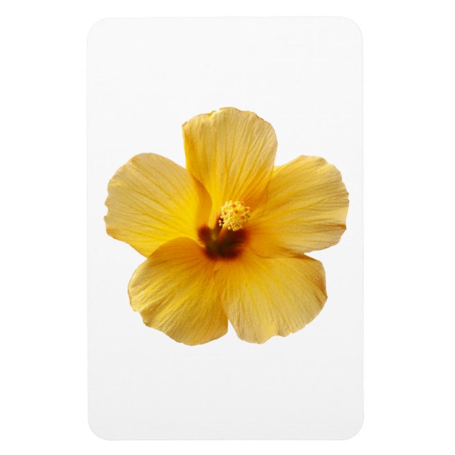 Imán Flores tropicales amarillas hibiscus floral (Vertical)