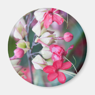 Imán Flores tropicales rojas y blancas