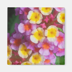 Imán Flores tropicales rosadas y moradas pequeñas amari