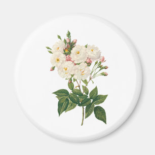 Imán Flores Vintage Floral Rubor Rosa Noisette Redoute
