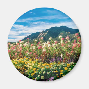 Imán Flores y Flatirons