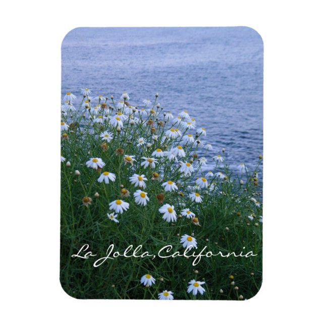 Imán Flores y océano en La Jolla (Vertical)