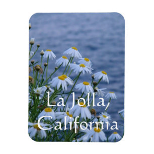 Imán Flores y océano en La Jolla, California