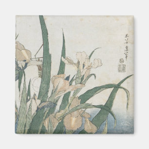 Imán Flores y saltamontes, c.1830-31 del iris
