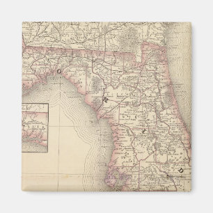 Imán Florida 10