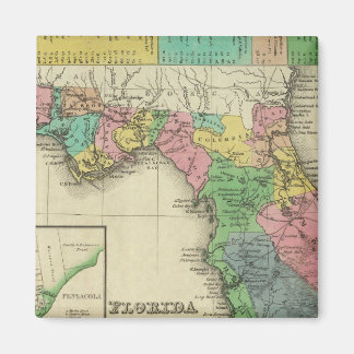 Imán Florida 11