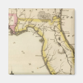Imán Florida 15