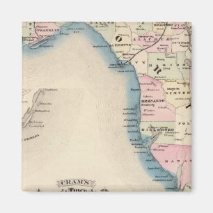 Imán Florida 3