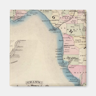 Imán Florida 3