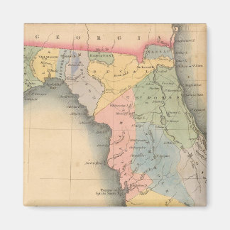 Imán Florida 3