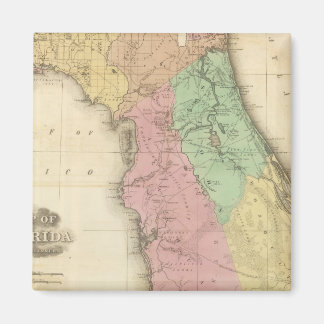 Imán Florida 4
