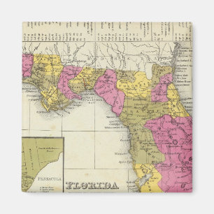 Imán Florida 4