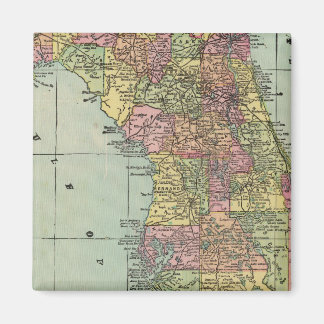 Imán Florida 5