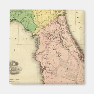 Imán Florida 6
